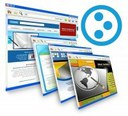 CMS Plone Websites