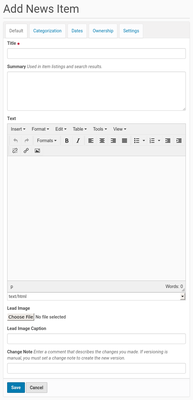 adding news items add form