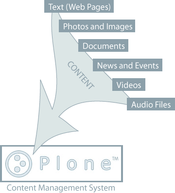 content types into plone