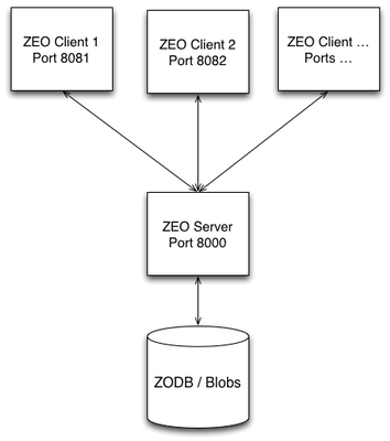 zeo cluster